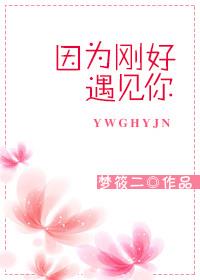 冰川小说因为刚好遇见你