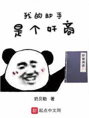 全职公敌小说全职公敌