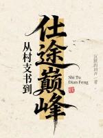 从村支书到仕途巅峰